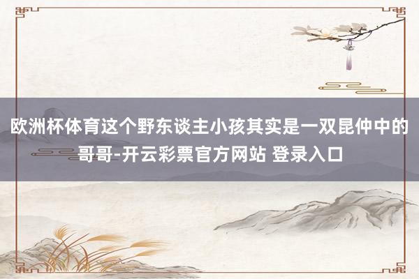 欧洲杯体育这个野东谈主小孩其实是一双昆仲中的哥哥-开云彩票官方网站 登录入口